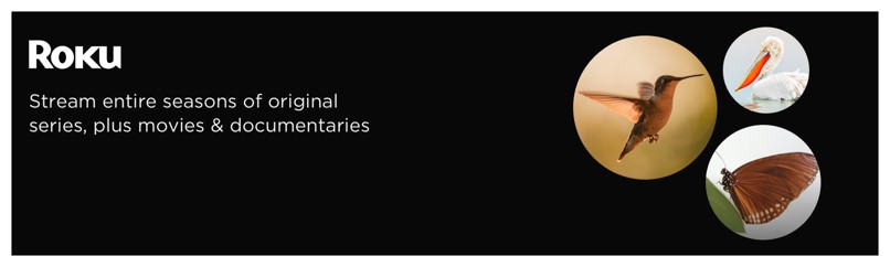 roku400px - premium-asset-46