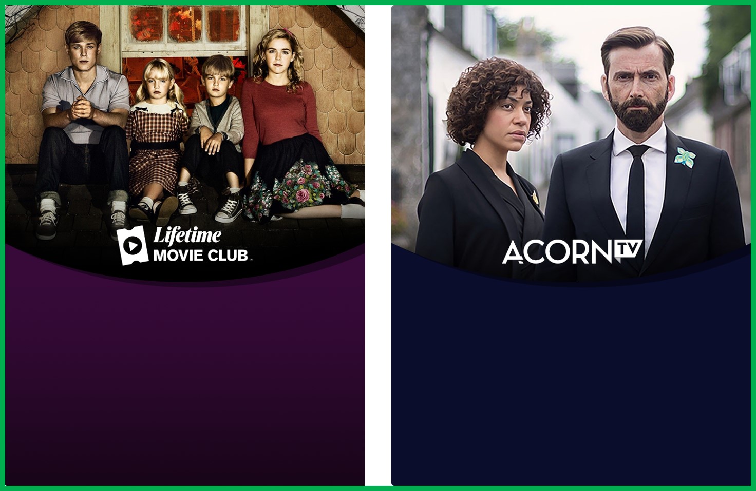 roku400px - premium-asset-61