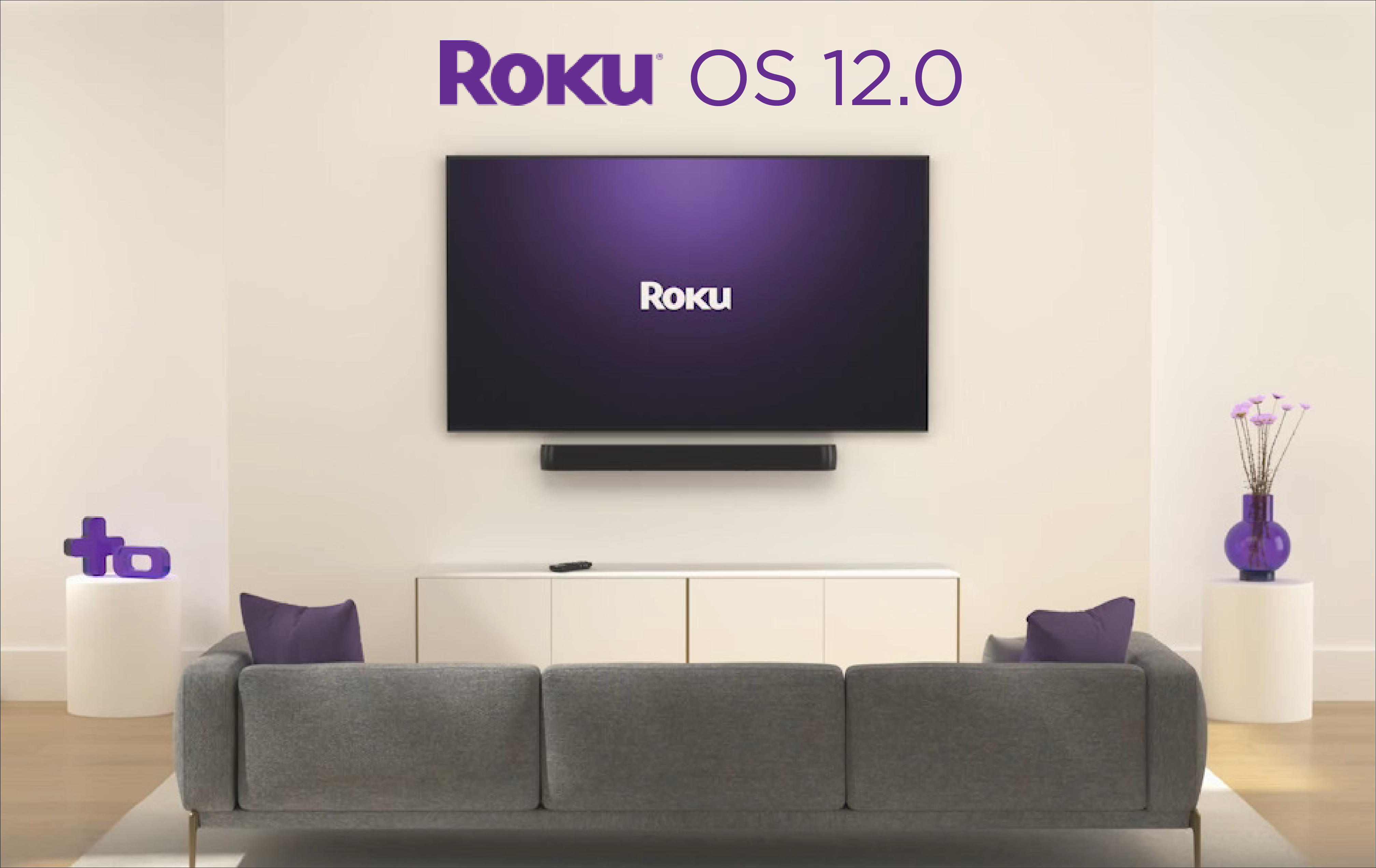 Roku to Launch 'The Buzz' Short-Form Content Hub, Updates Roku Express