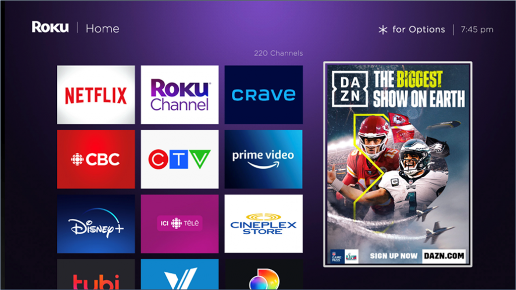 Roku ads: the basics