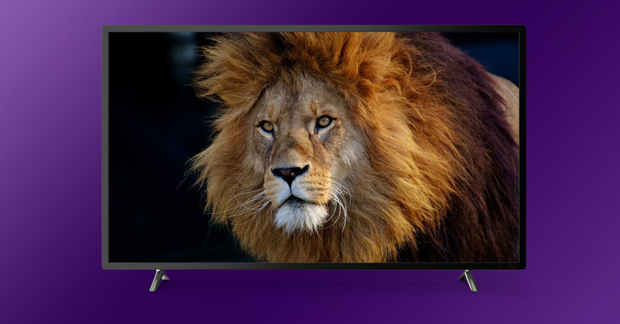 8 Roku channels and themes for animal lovers