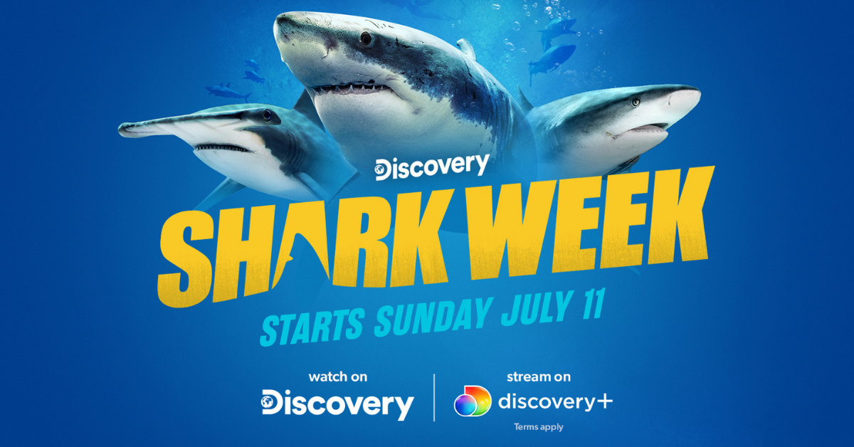 How to stream Shark Week 2021 on Roku devices Roku