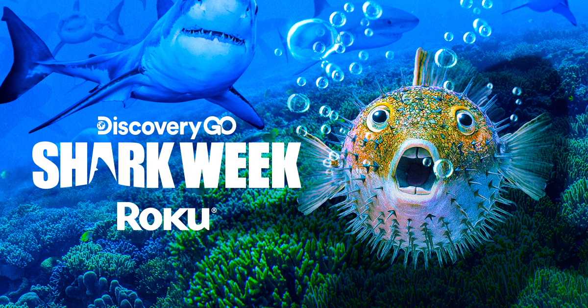 How to stream Shark Week 2019 on Roku devices Roku