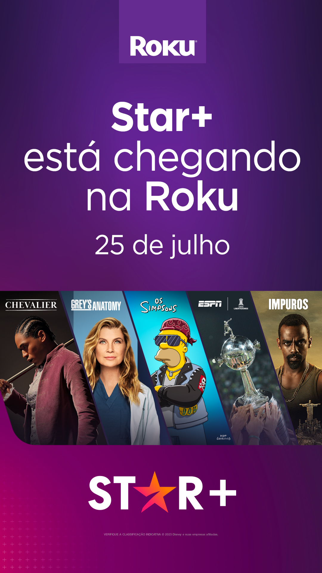 Jogos de Futebol, Loja de canais Roku