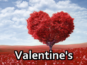 Valentine's Day Screens