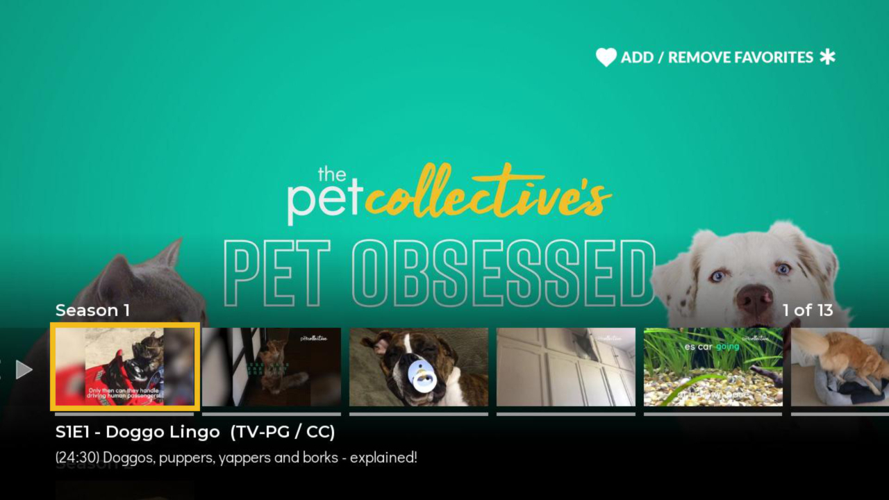 The Pet Collective