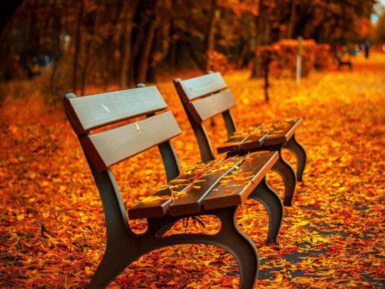 ScreenSaver Fall