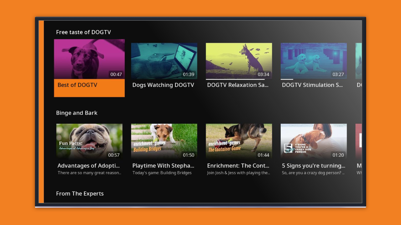 DOGTV Roku Channel Store Roku