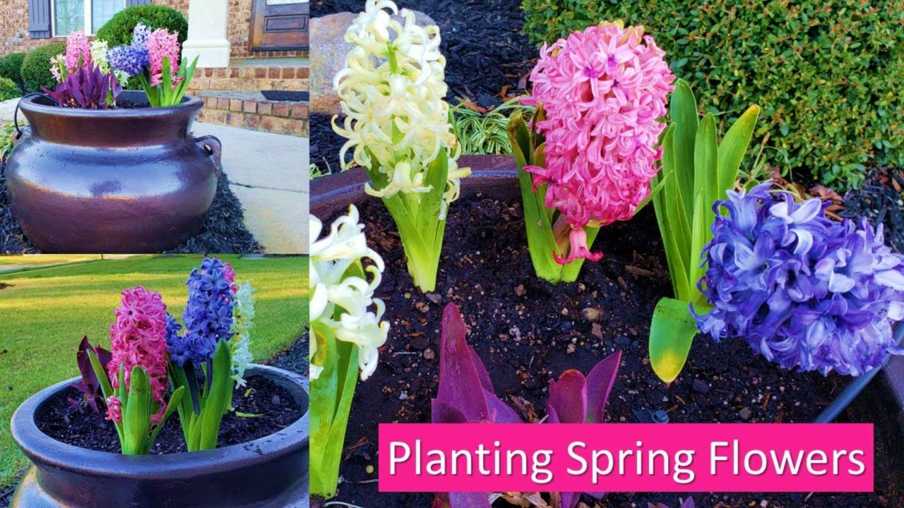 Garden Channel by Fawesome TV App Roku Channel Store Roku