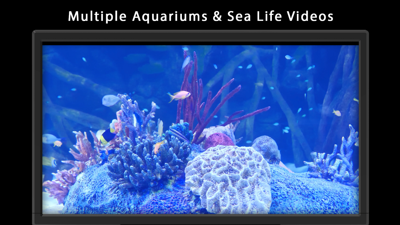 Aquarium Free Relaxing Fish & Coral Reef Videos with Music in FHD