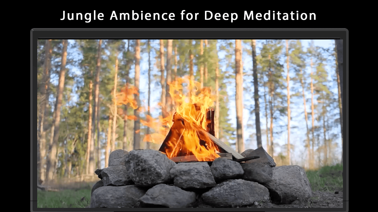 Fireplace Master Collection Fire Video Screensaver TV App Roku