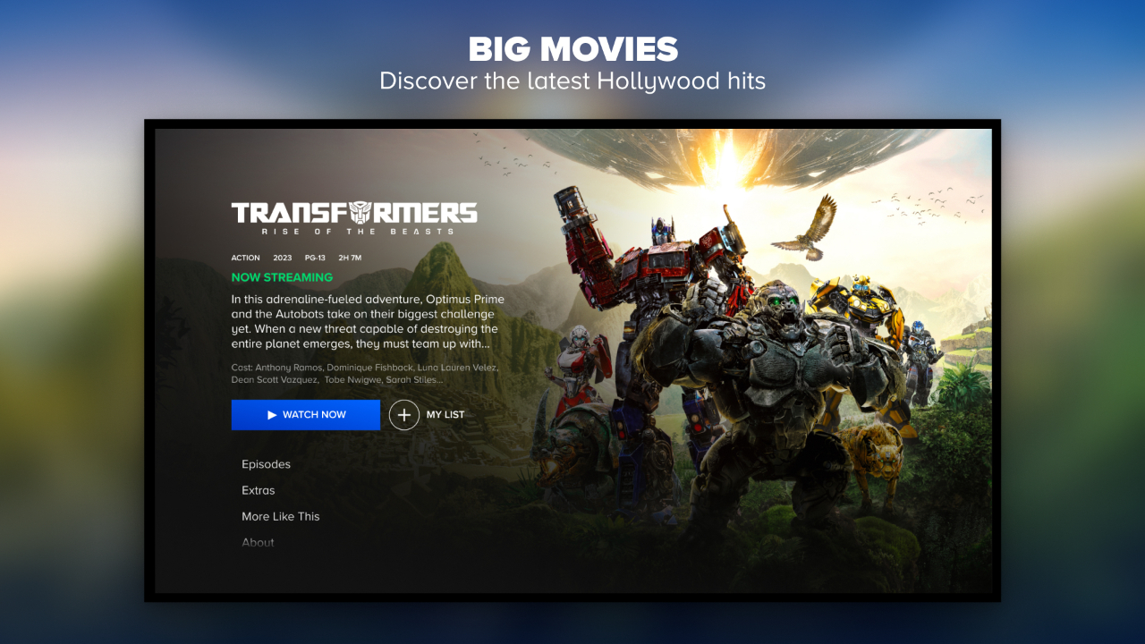 Paramount Plus | TV App | Roku Channel Store | Roku