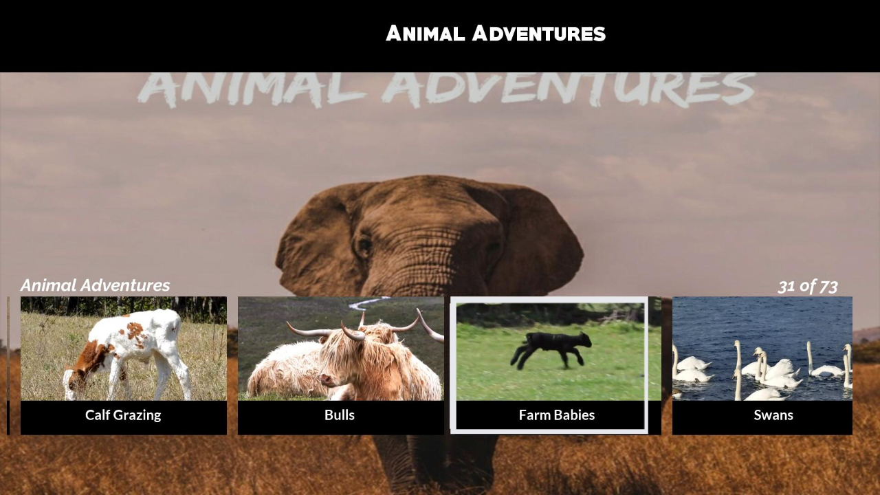 Animal Adventures | Roku Channel Store | Roku