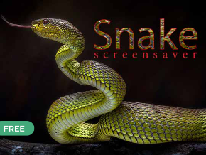 Classic Snake!, TV App, Roku Channel Store