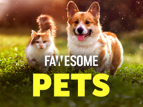 Fawesome Pets