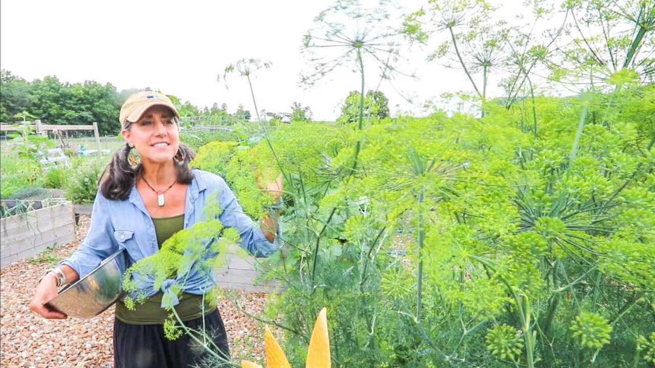 Garden Channel by Fawesome TV App Roku Channel Store Roku