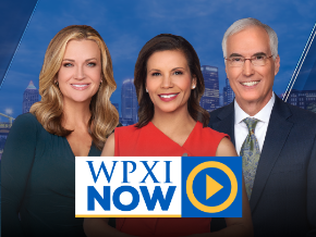 WPXI Channel 11 News Pittsburgh, TV App, Roku Channel Store