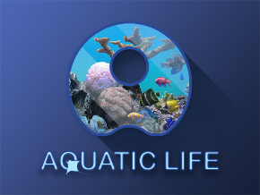 Aquatic Life