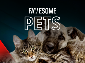 Fawesome Pets