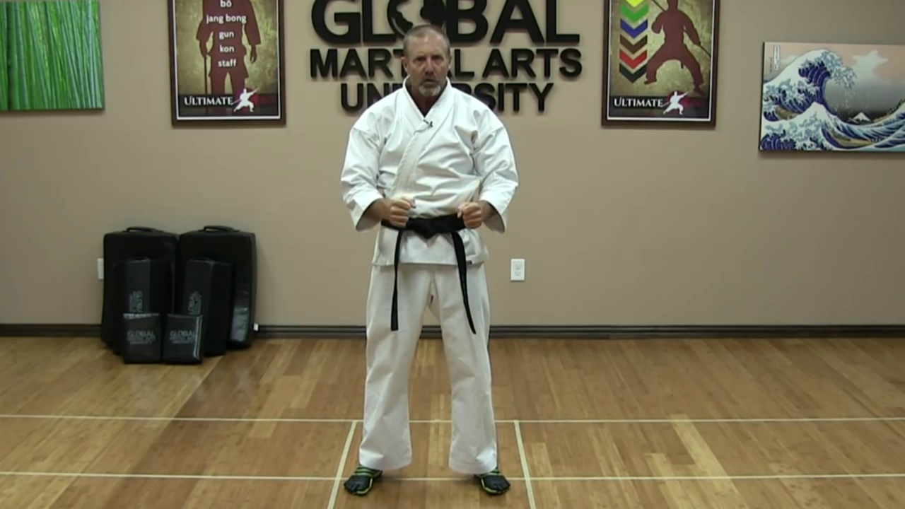 Learn Martial Arts by Whoooaaa TV App Roku Channel Store Roku