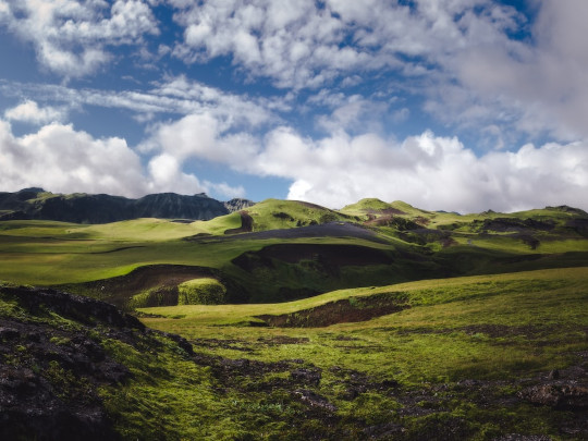 ScreenSaver Fields