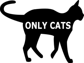 Only Cats | TV App | Roku Channel Store | Roku.