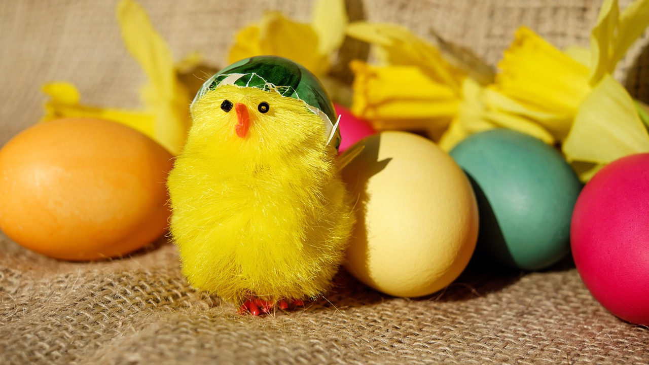 Easter Eggs & Bunnies TV App Roku Channel Store Roku