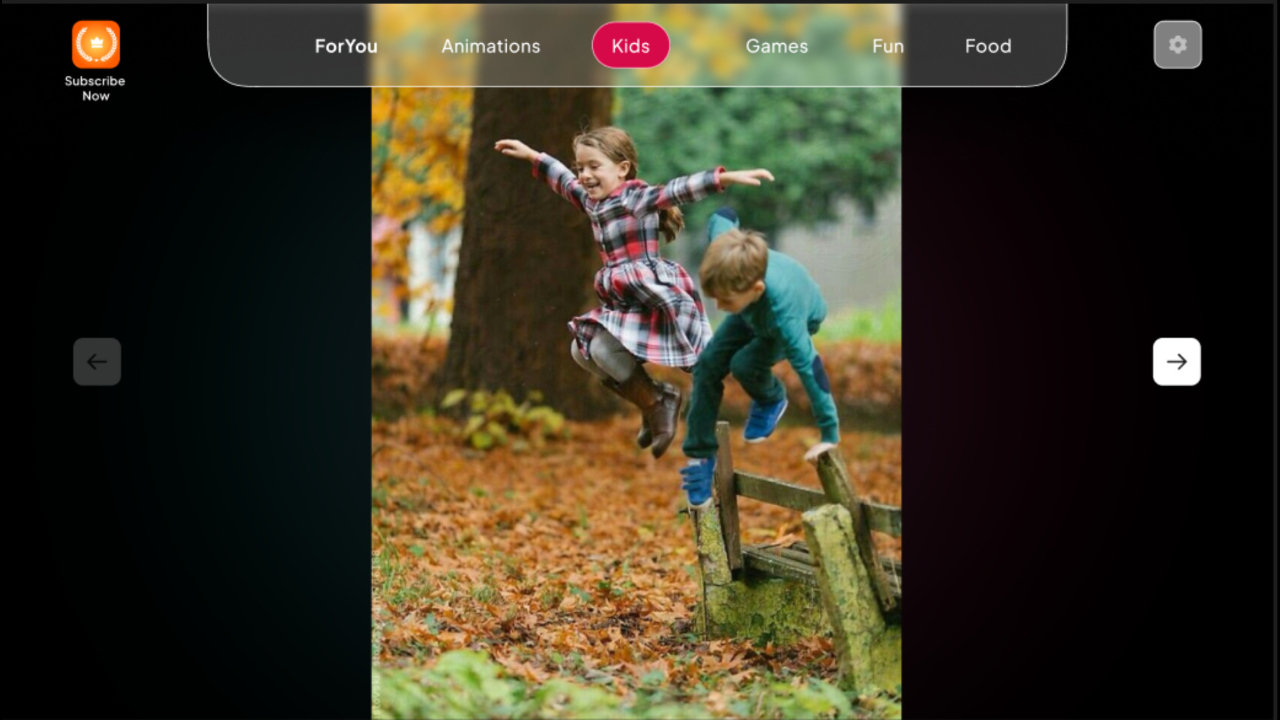 Shorts and Reels TV App Roku Channel Store Roku