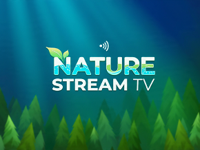 Install Nature Stream TV on your Roku Device