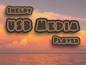 tavle Melting rendering Shelby Usb Media Player | TV App | Roku Channel Store | Roku