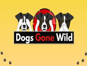 Dogs Gone Wild | TV App | Roku Channel Store | Roku