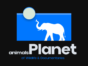 Install Animals : Planet of Wildlife on your Roku Device
