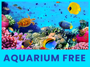 Bạn đam mê sự đa dạng của đại dương và các loài sinh vật trong đó? Aquarium Free sẽ giúp bạn khám phá một thế giới dưới nước tuyệt đẹp, tươi sáng và đầy sức sống. Hãy tận hưởng những giây phút thư giãn tuyệt vời với ứng dụng này.