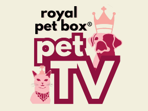 Royal Pet Box Pet TV