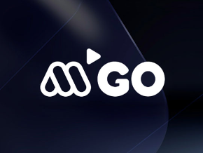 Install Mega GO on your Roku Device