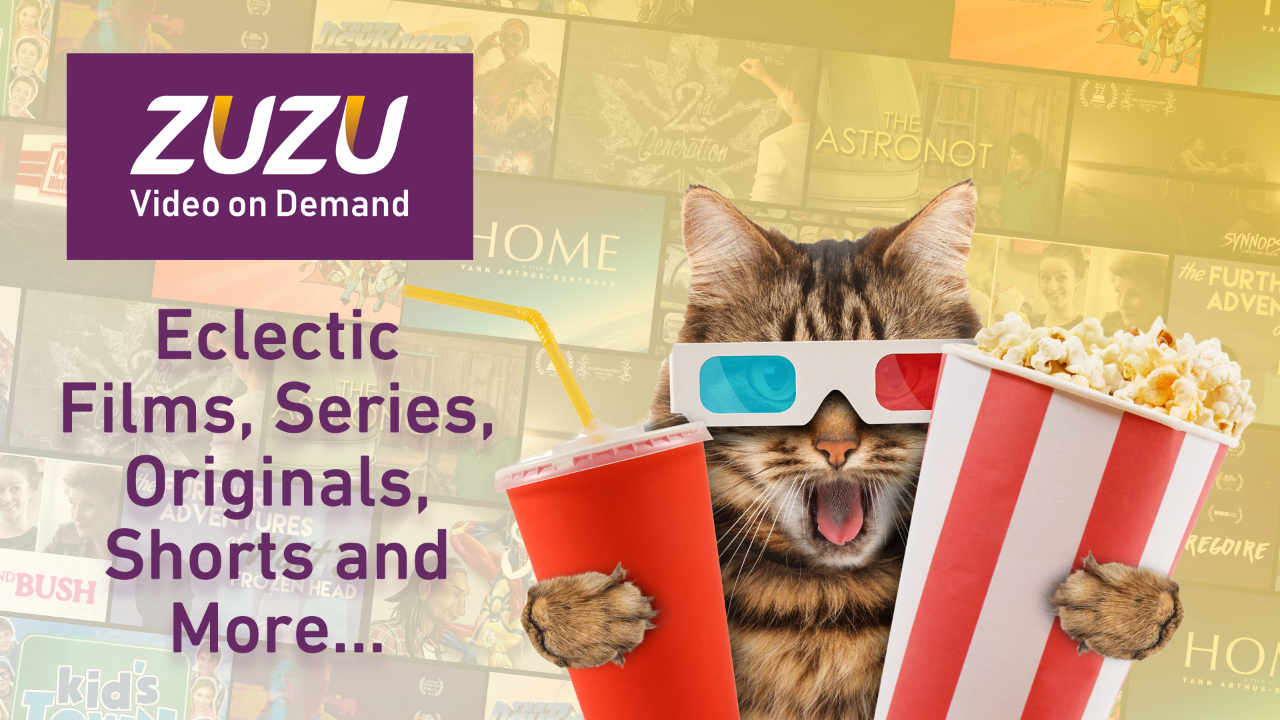 Zuzu Video on Demand TV App Roku Channel Store Roku