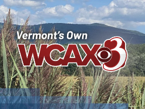 WCAX Channel 3: VT-NY-NH News | TV App | Roku Channel Store | Roku