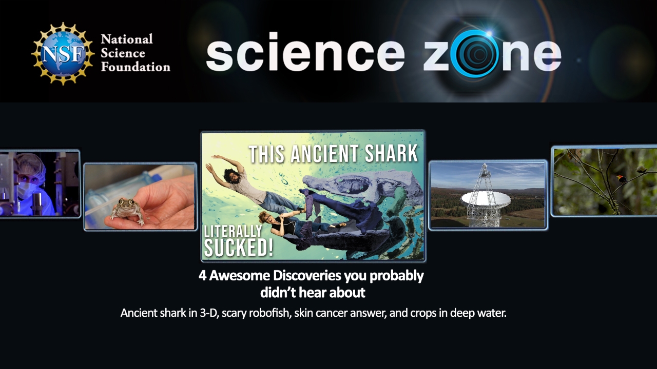 NSF Science Zone TV App Roku Channel Store Roku