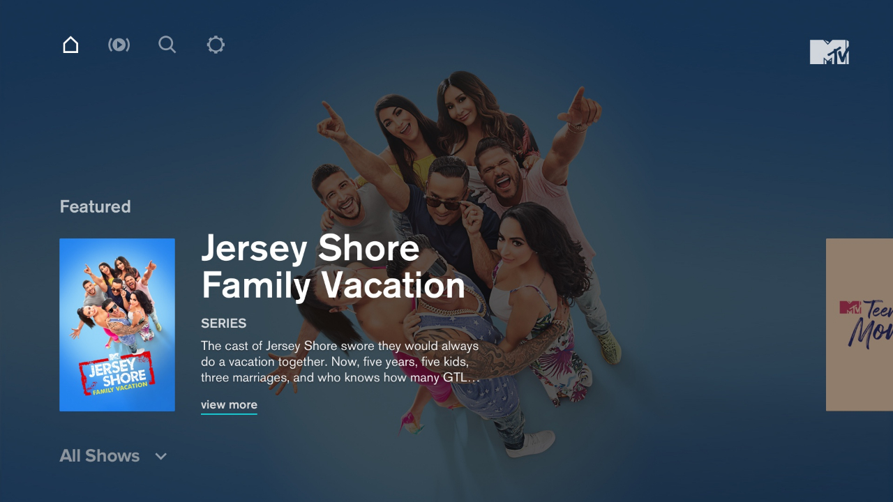 MTV Roku Channel Store Roku