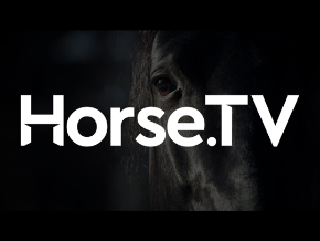 Horse Tv Tv App Roku Channel Store Roku