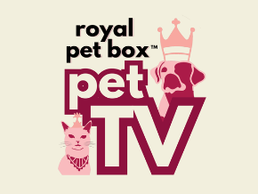 Royal Pet Box Pet TV