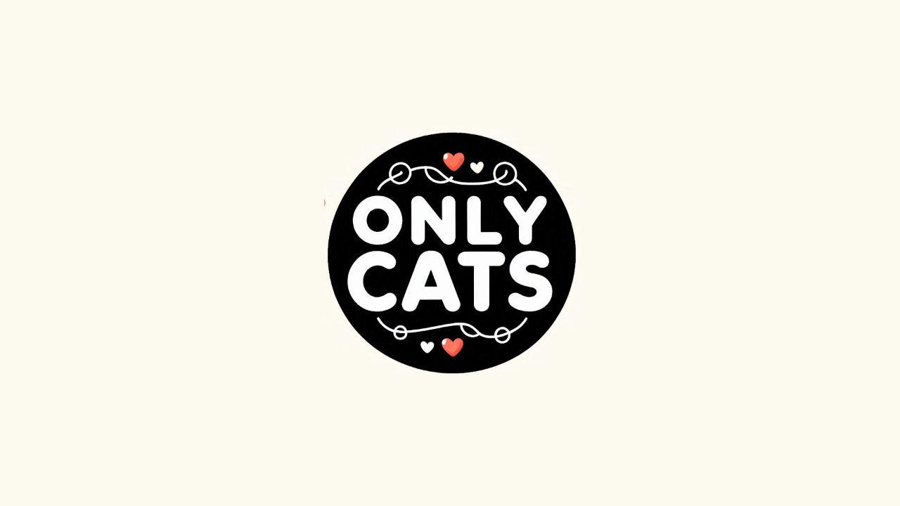 Only Cats | TV App | Roku Channel Store | Roku