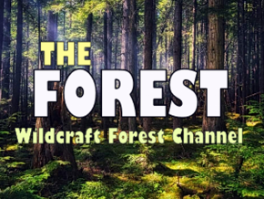 Wildcraft Forest Channel | TV App | Roku Channel Store | Roku