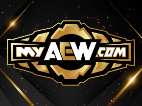 Install MyAEW on your Roku Device