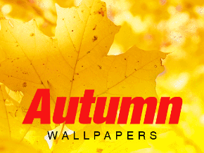 Autumn Wallpapers | Roku Channel Store | Roku