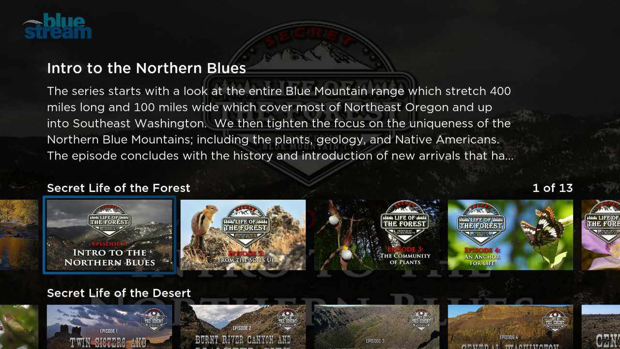 Bluestream TV App Roku Channel Store Roku