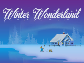 Winter Wonderland Tv App Roku Channel Store Roku