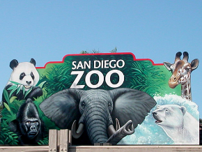 San Diego Zoo and Safari Park | TV App | Roku Channel Store | Roku