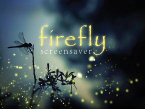 firefly screensaver