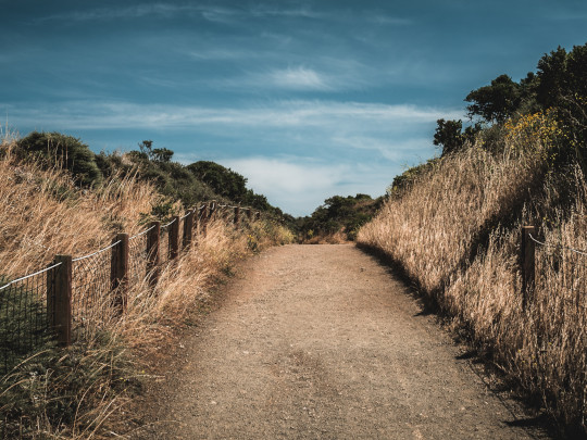 ScreenSaver Fences